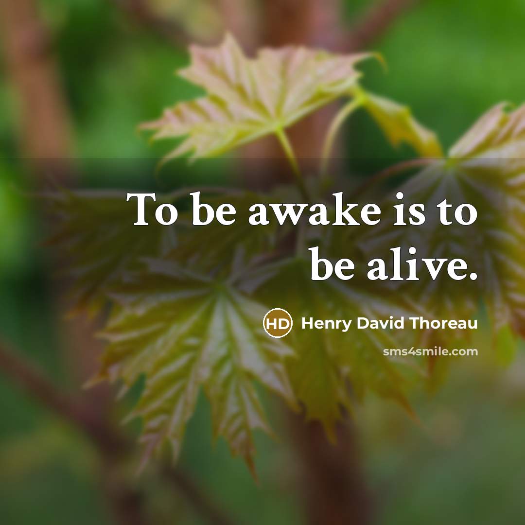 “To be awake is to be alive.…” quote by Henry David Thoreau