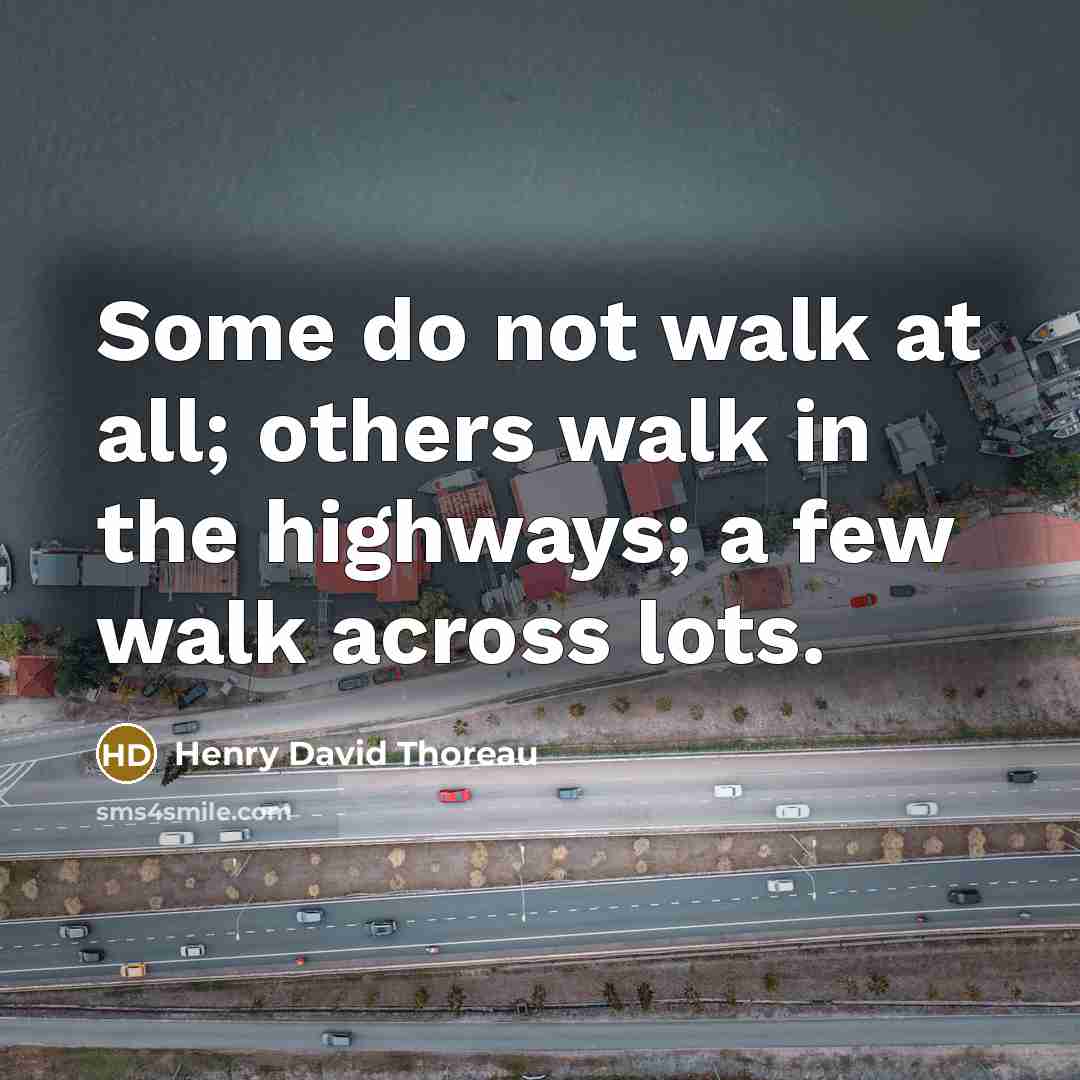 “Some do not walk at all; others walk in the…” quote by Henry David Thoreau