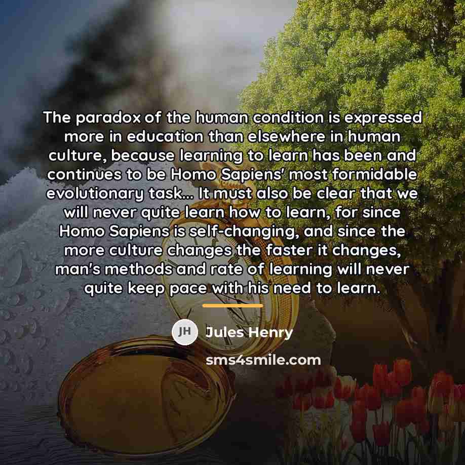 “The paradox of the human condition is expressed more in…” quote by Jules Henry