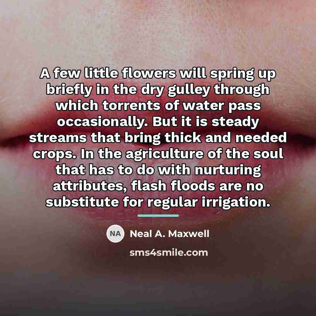 “A few little flowers will spring up briefly in the…” quote by Neal A. Maxwell