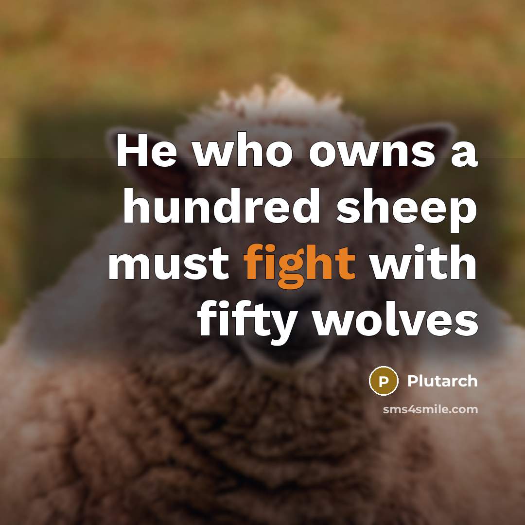 “He who owns a hundred sheep must fight with fifty…” quote by Plutarch