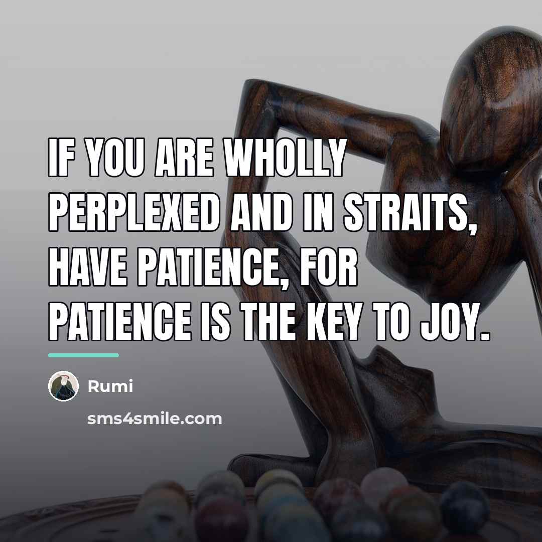 “If you are wholly perplexed and in straits, have patience,…” quote by Rumi