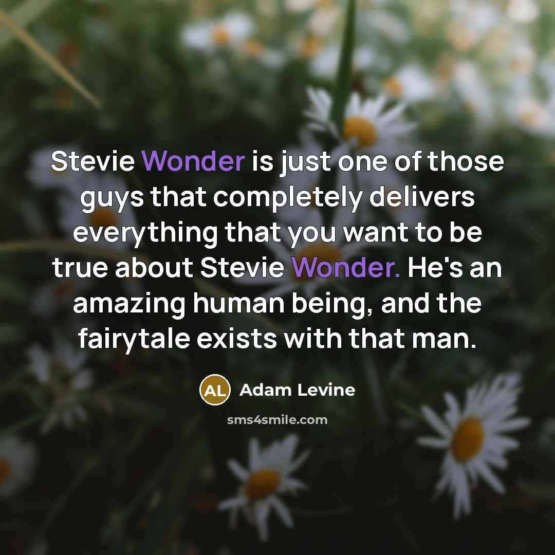 “Stevie Wonder is just one of those guys that completely…” quote by Adam Levine