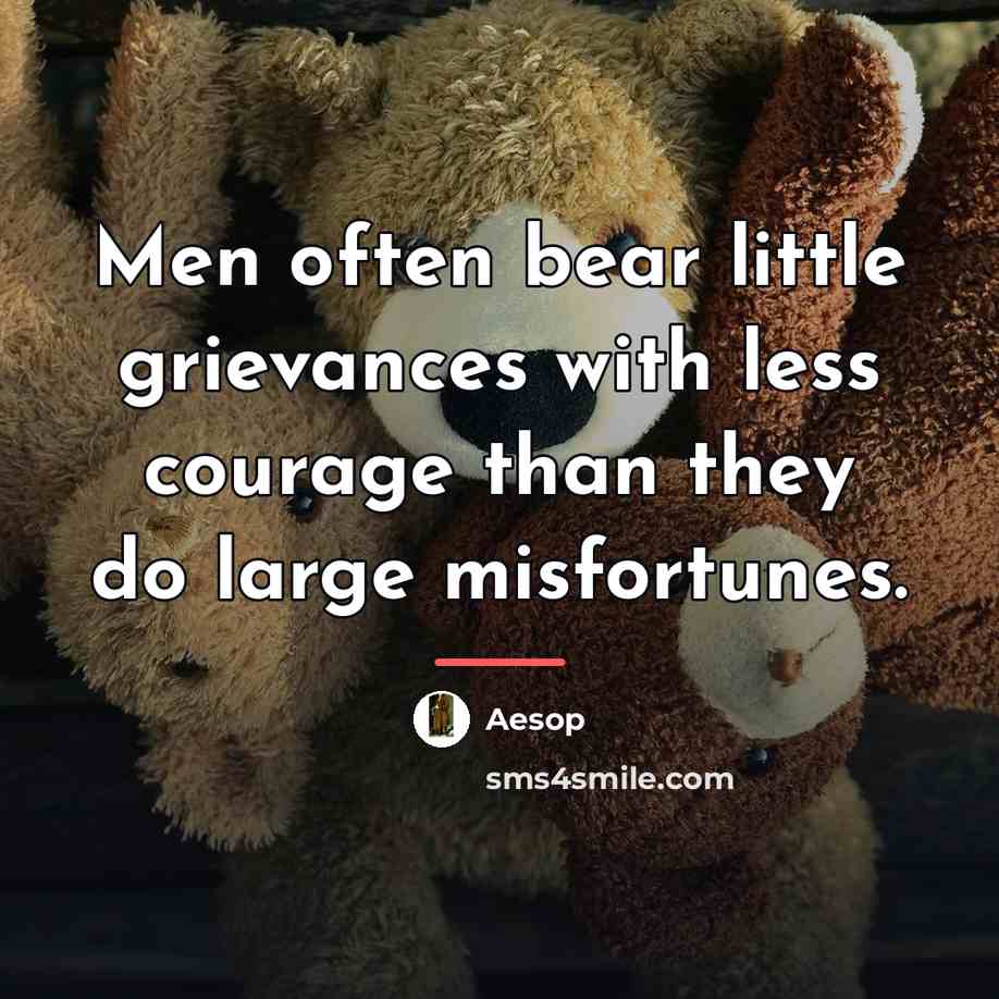 “Men often bear little grievances with less courage than they…” quote by Aesop