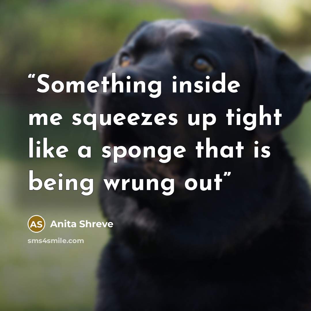 “Something inside me squeezes up tight like a sponge that is being wrung out” quote by Anita Shreve