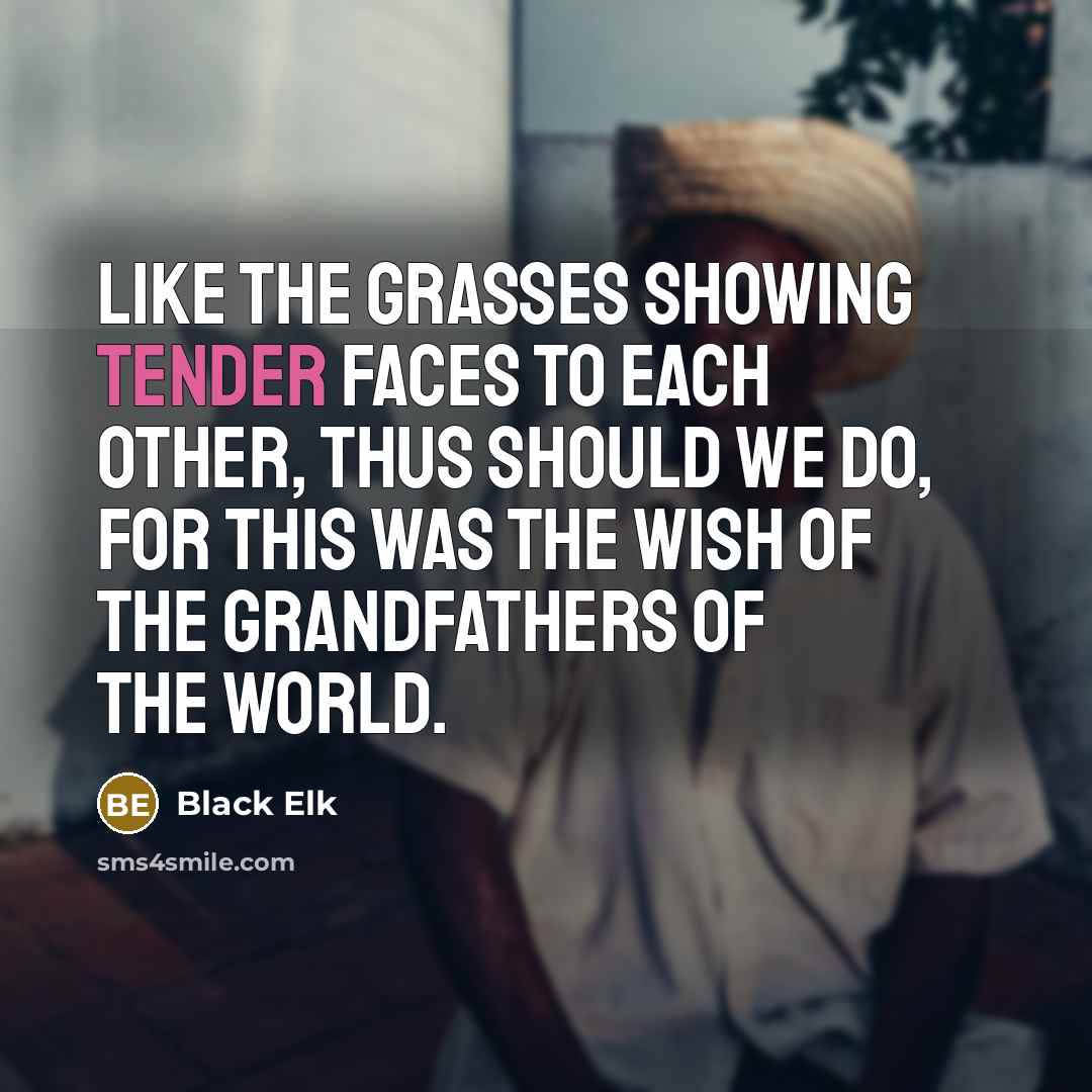 “Like the grasses showing tender faces to each other, thus…” quote by Black Elk