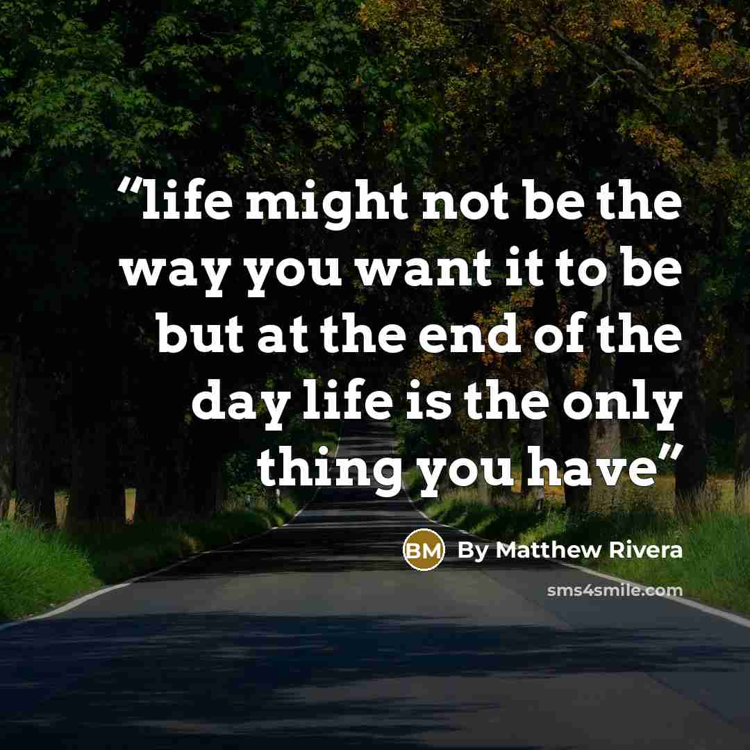 “life might not be the way you want it to be but at the end of the day life is the only thing you have” quote by By Matthew Rivera