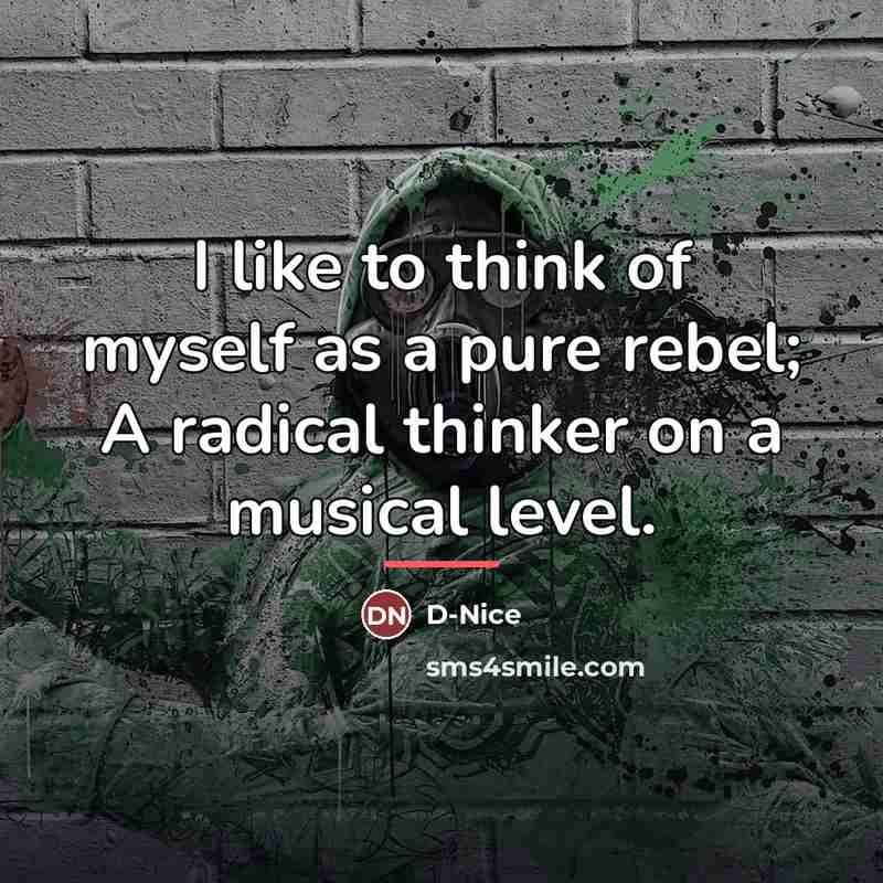 “I like to think of myself as a pure rebel;…” quote by D-Nice