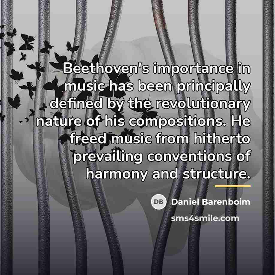 “Beethoven's importance in music has been principally defined by the…” quote by Daniel Barenboim