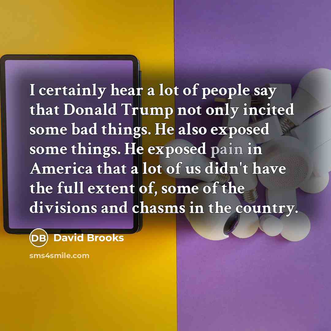 “I certainly hear a lot of people say that Donald…” quote by David Brooks