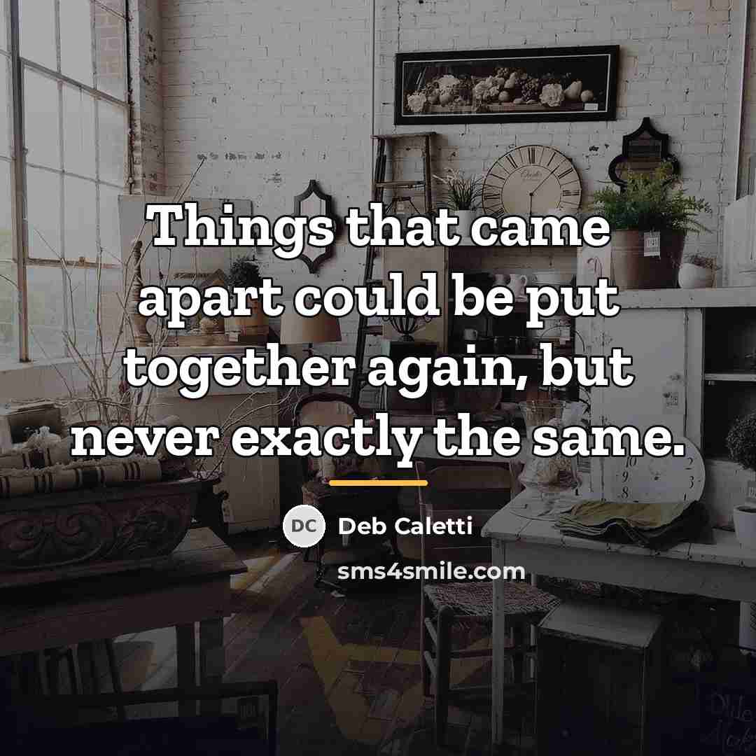 “Things that came apart could be put together again, but…” quote by Deb Caletti