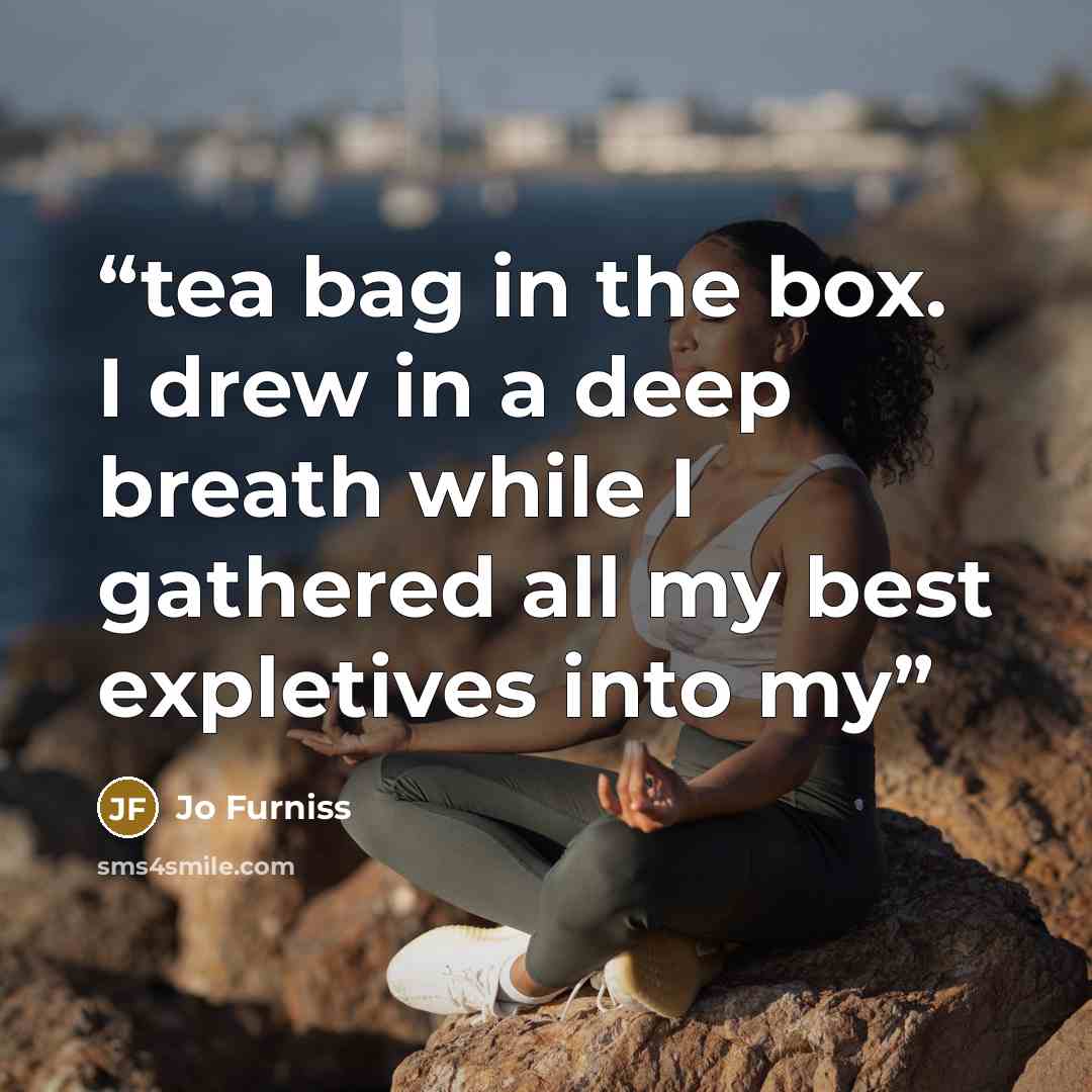 “tea bag in the box. I drew in a deep breath while I gathered all my best expletives into my” quote by Jo Furniss