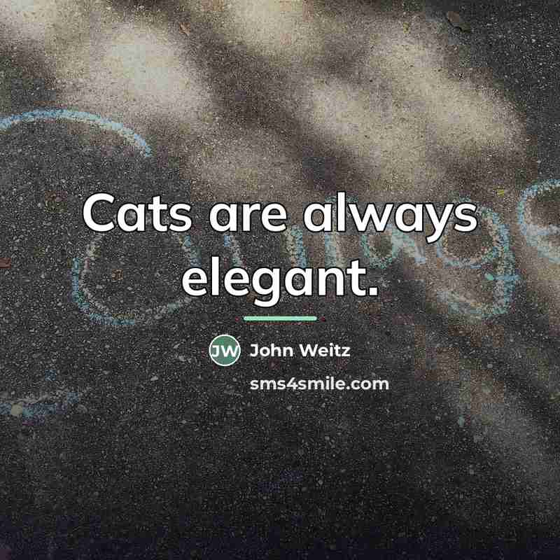 “Cats are always elegant.…” quote by John Weitz