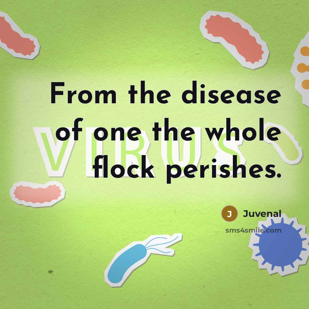 “From the disease of one the whole flock perishes.…” quote by Juvenal