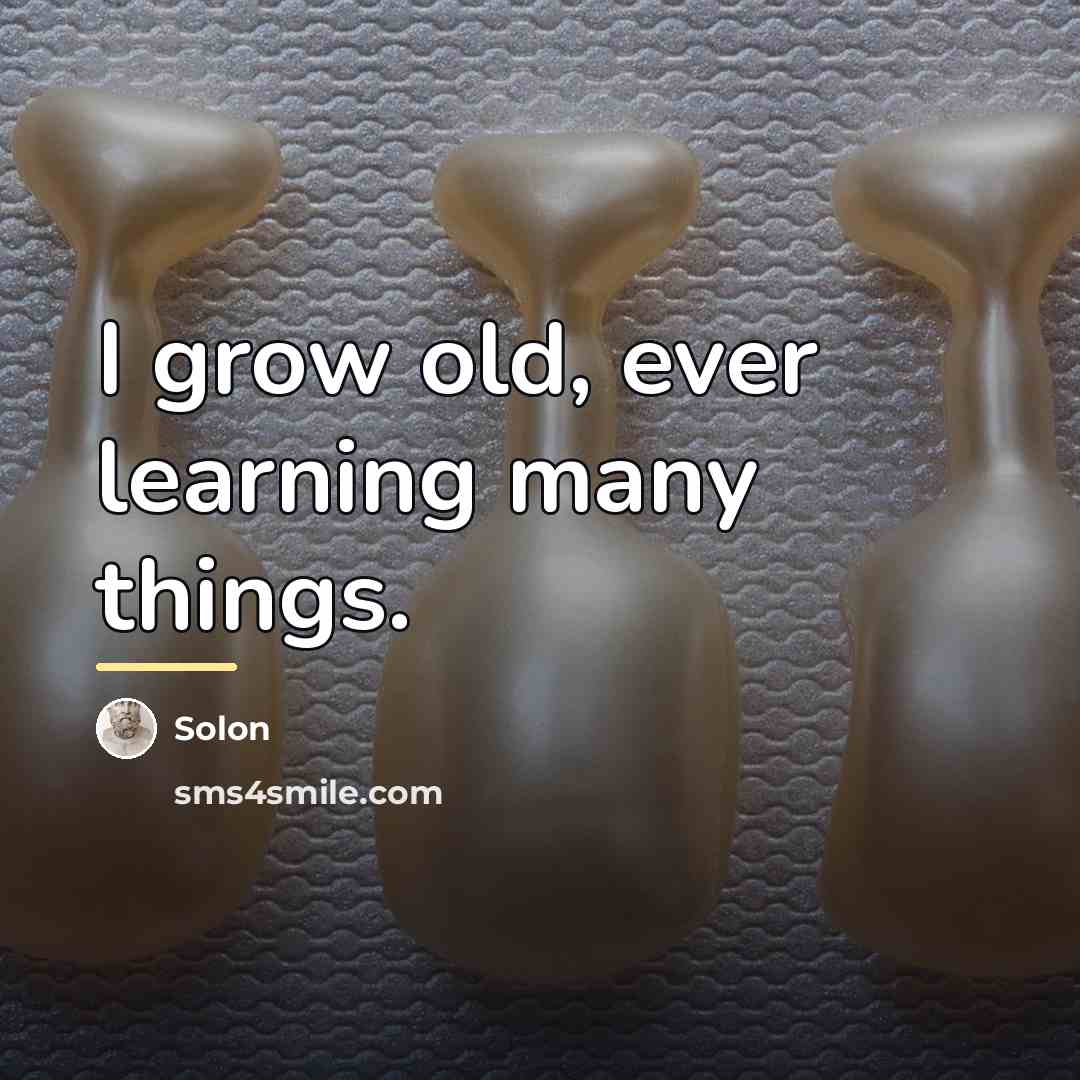 “I grow old, ever learning many things.…” quote by Solon