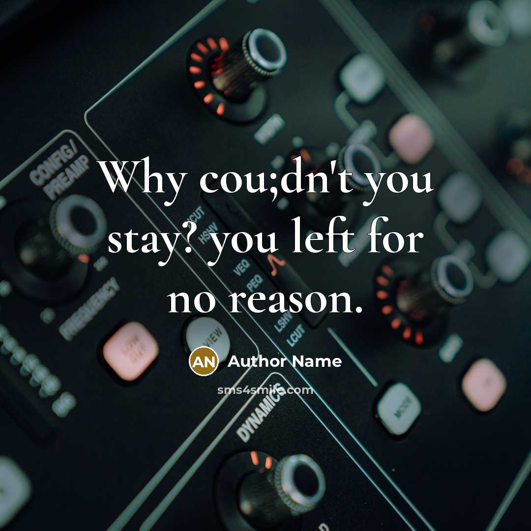 “Why cou;dn't you stay? you left for no reason.” quote by Author Name