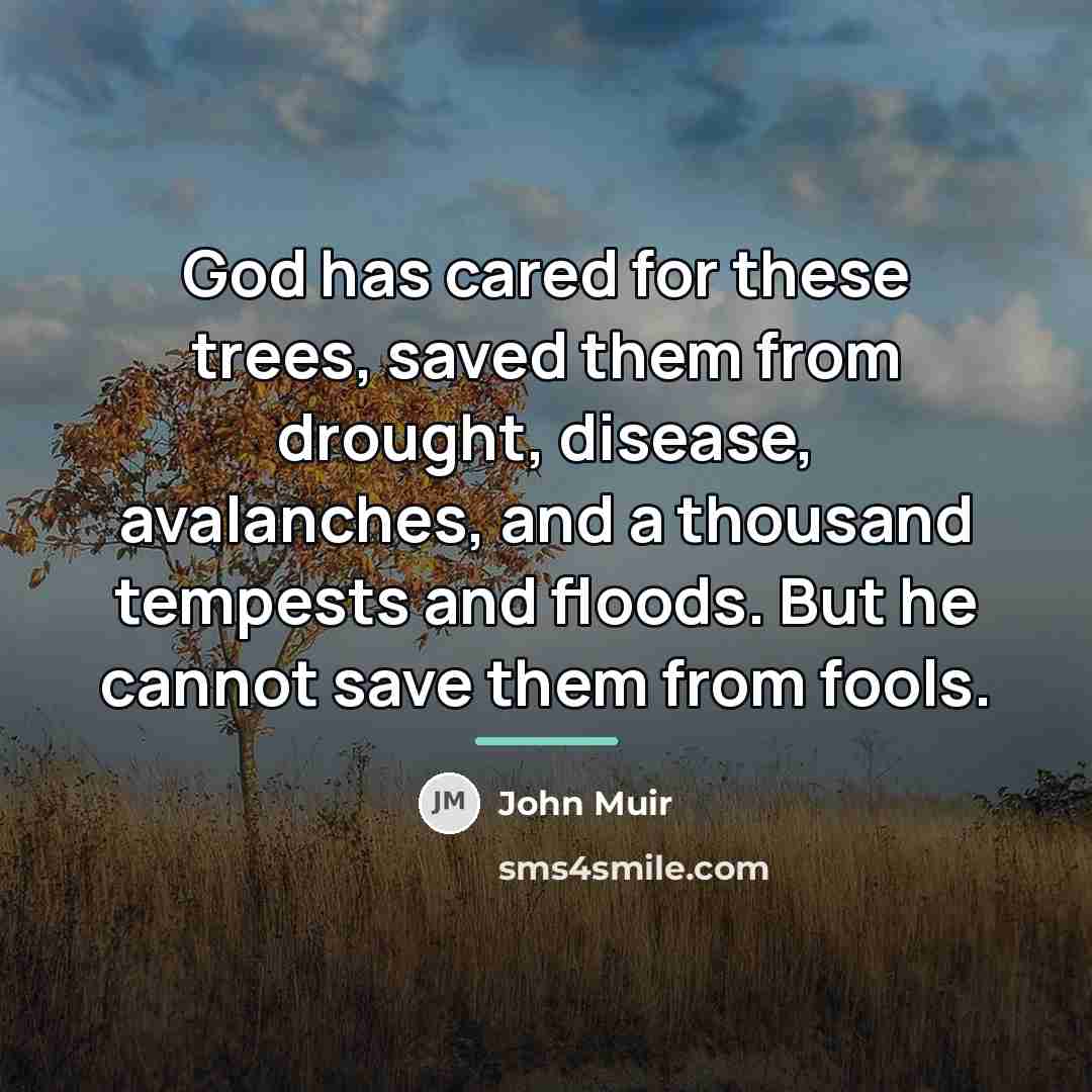 “God has cared for these trees, saved them from drought,…” quote by John Muir