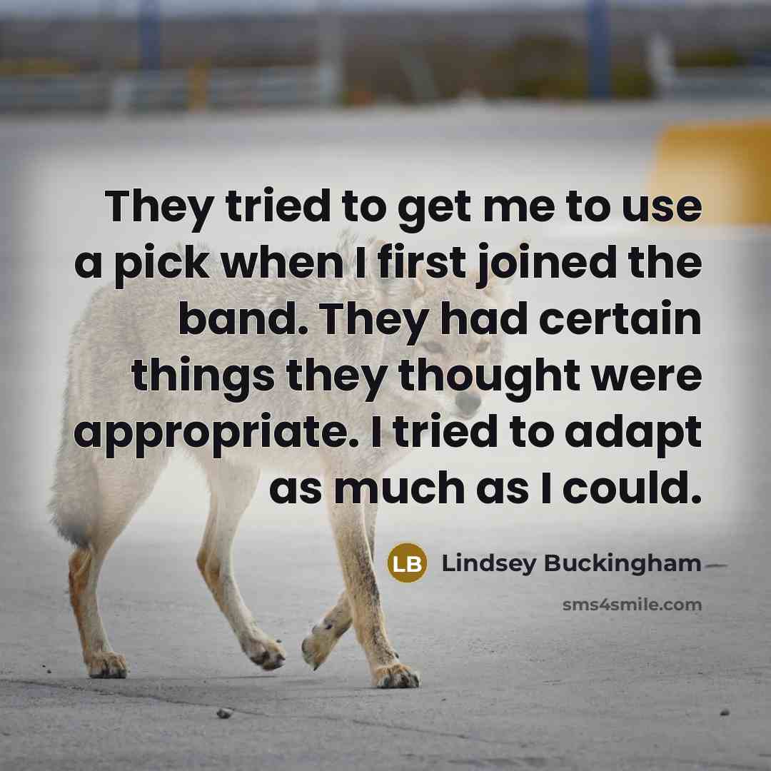 “They tried to get me to use a pick when…” quote by Lindsey Buckingham