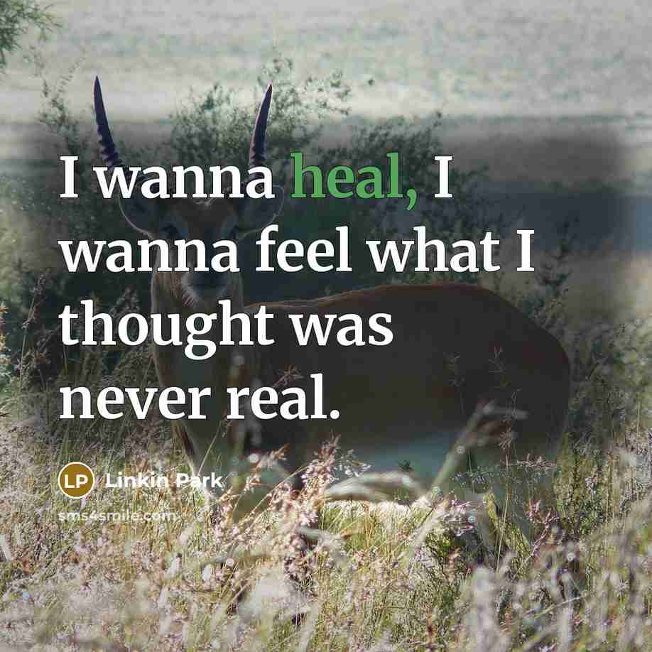 “I wanna heal, I wanna feel what I thought was never real.” quote by Linkin Park