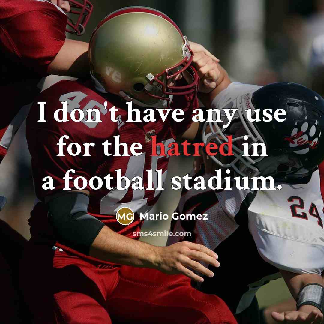 “I don't have any use for the hatred in a…” quote by Mario Gomez
