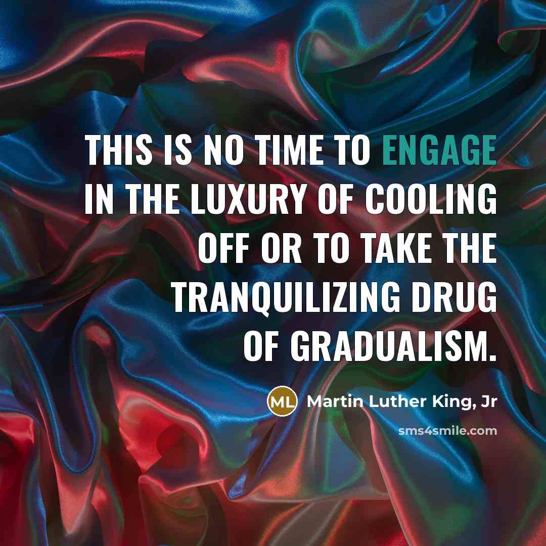 “This is no time to engage in the luxury of…” quote by Martin Luther King, Jr