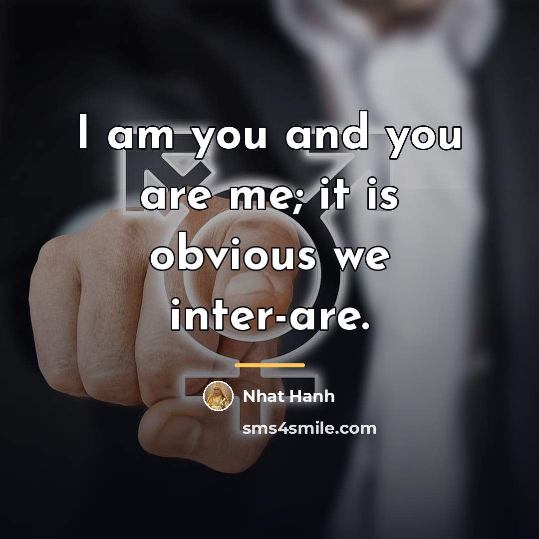 “I am you and you are me; it is obvious…” quote by Nhat Hanh