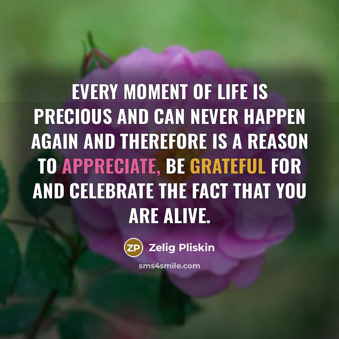 “Every moment of life is precious and can never happen…” quote by Zelig Pliskin