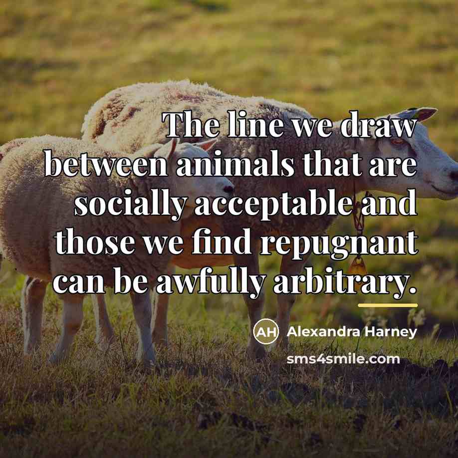 “The line we draw between animals that are socially acceptable…” quote by Alexandra Harney
