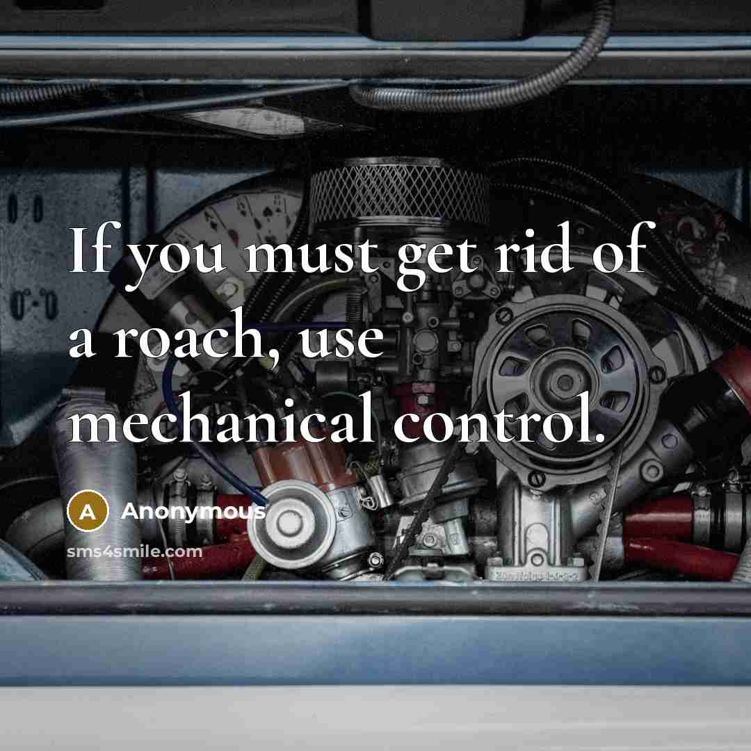 “If you must get rid of a roach, use mechanical control.” quote by Anonymous