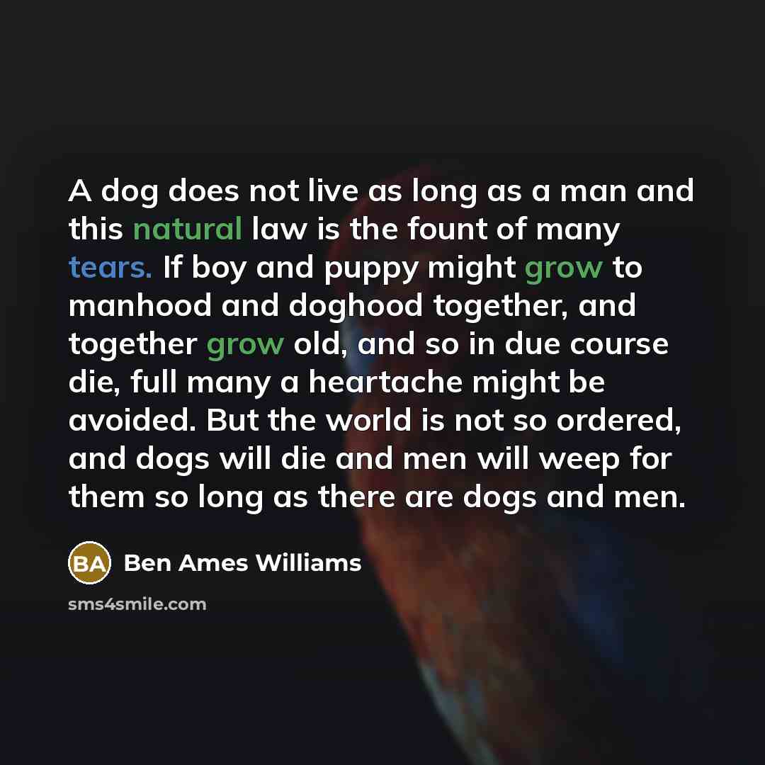 “A dog does not live as long as a man and this natural law is the fount of many tears. If boy and puppy might grow to manhood and doghood together, and together grow old, and so in due course die, full many a heartache might be avoided. But the world is not so ordered, and dogs will die and men…” quote by Ben Ames Williams