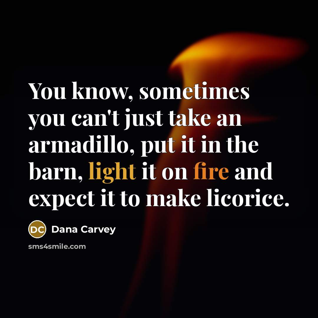 “You know, sometimes you can't just take an armadillo, put…” quote by Dana Carvey