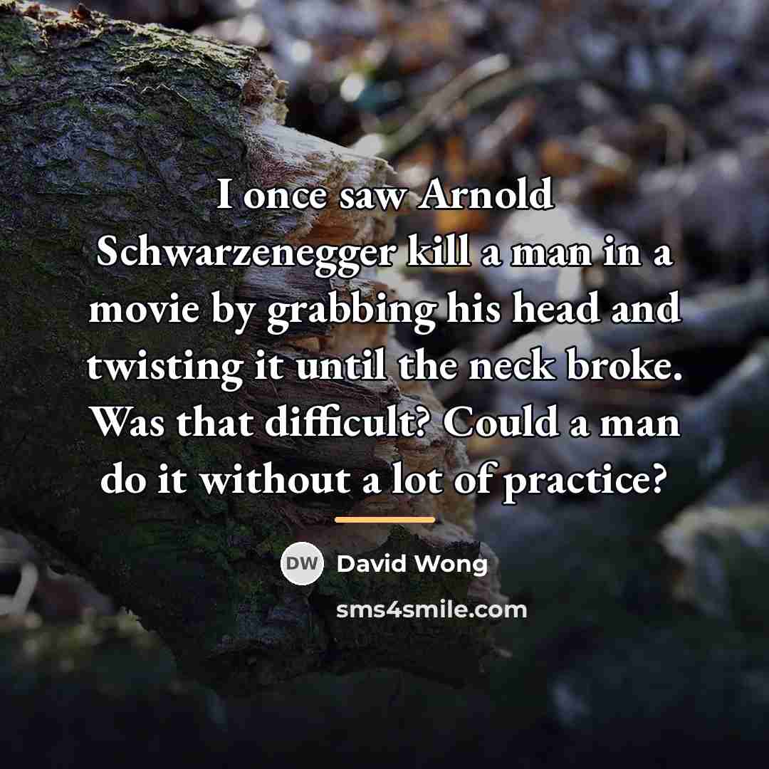“I once saw Arnold Schwarzenegger kill a man in a…” quote by David Wong