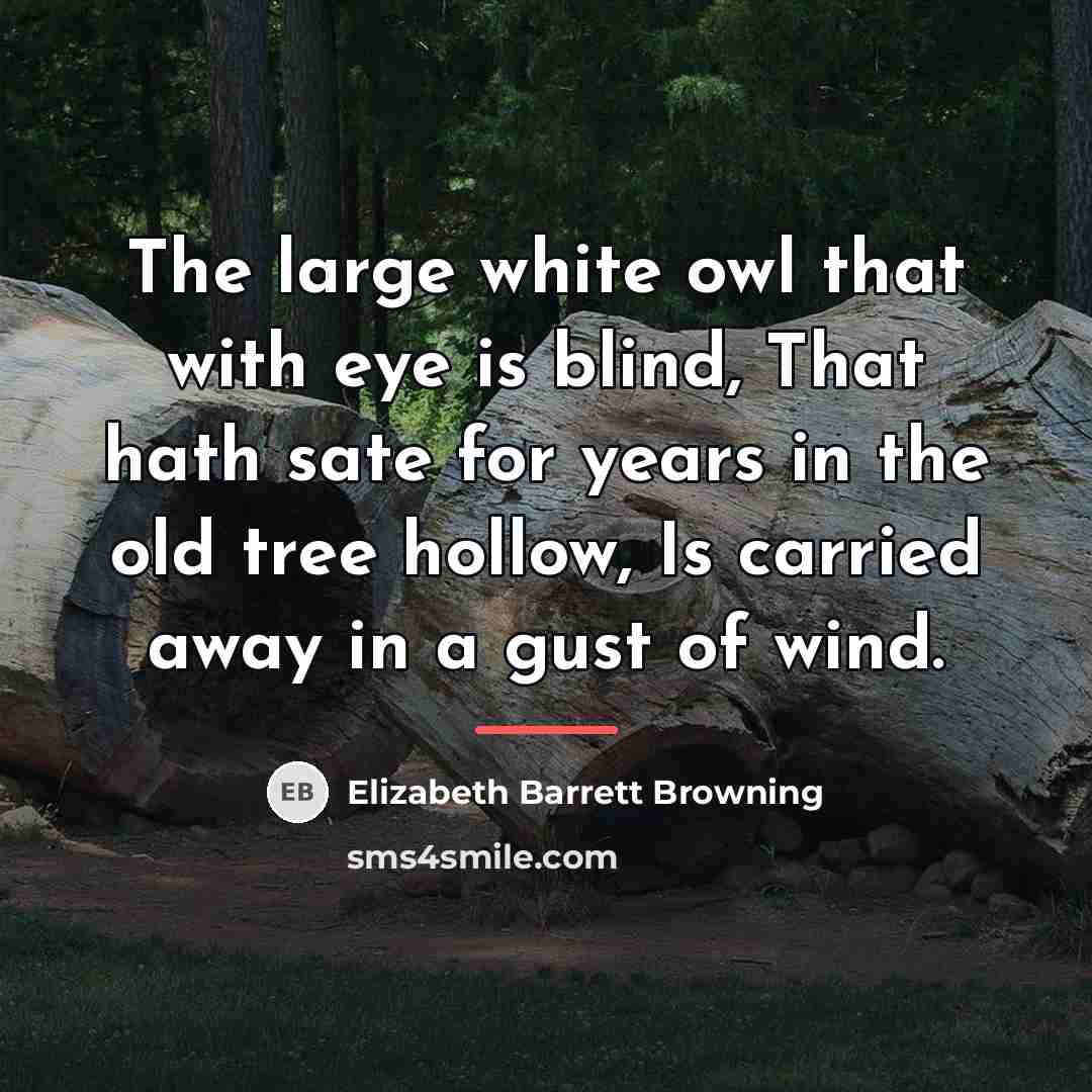 “The large white owl that with eye is blind, That…” quote by Elizabeth Barrett Browning