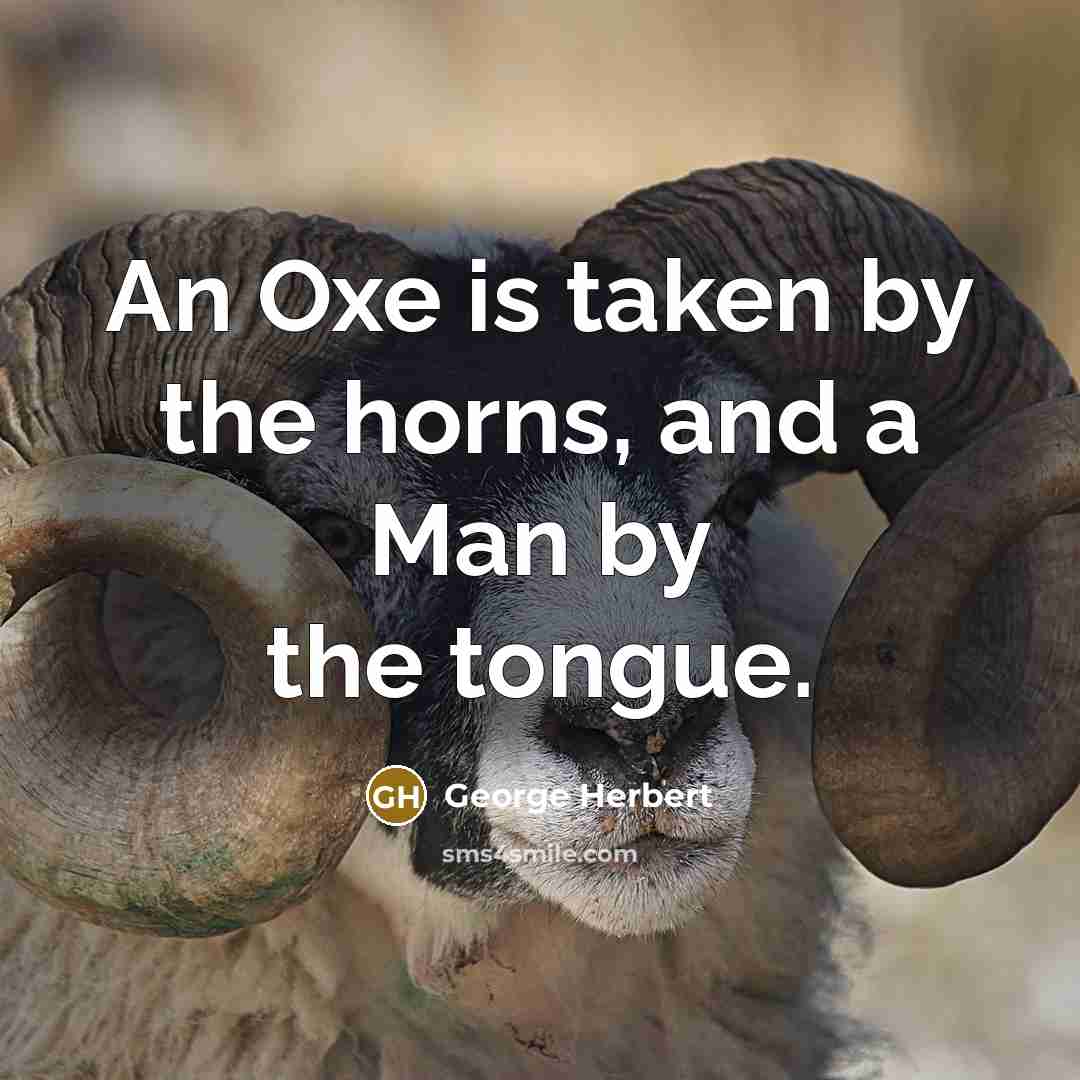 “An Oxe is taken by the horns, and a Man…” quote by George Herbert