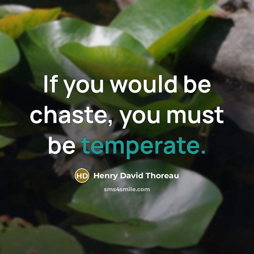 “If you would be chaste, you must be temperate.…” quote by Henry David Thoreau
