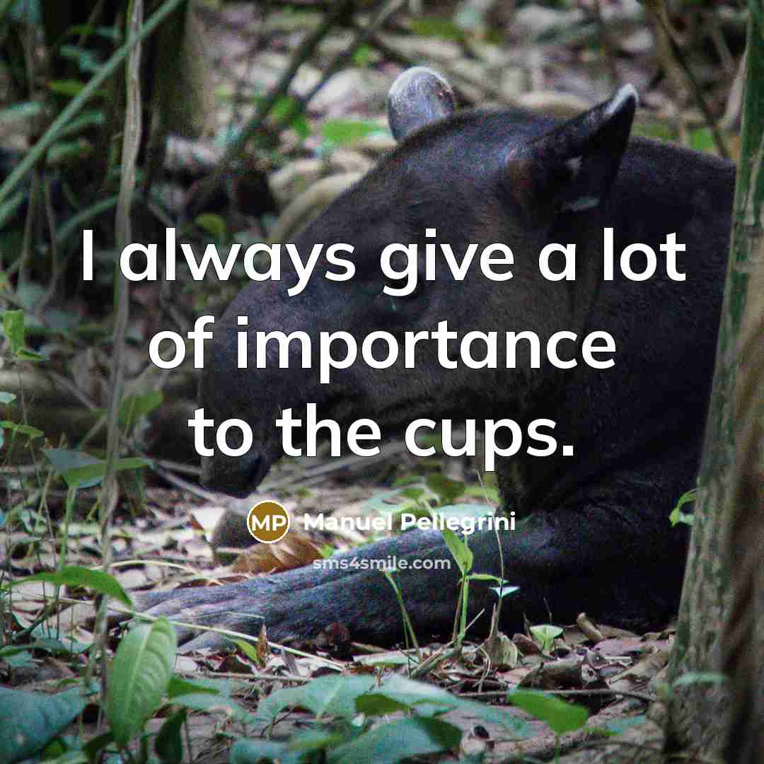 “I always give a lot of importance to the cups.…” quote by Manuel Pellegrini