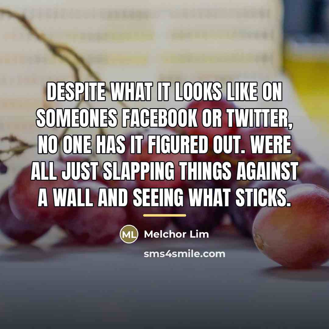 “Despite what it looks like on someones Facebook or Twitter,…” quote by Melchor Lim