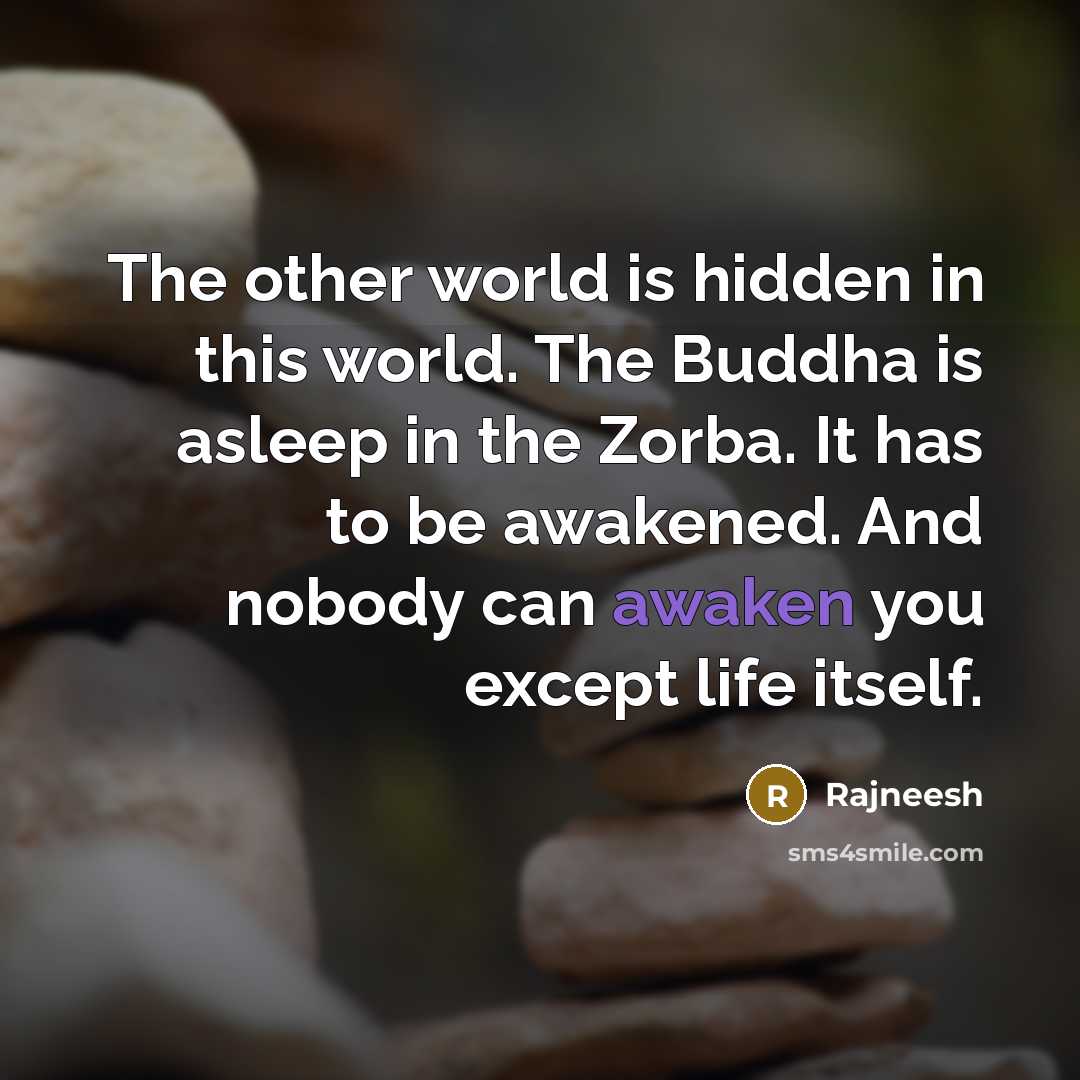 “The other world is hidden in this world. The Buddha…” quote by Rajneesh