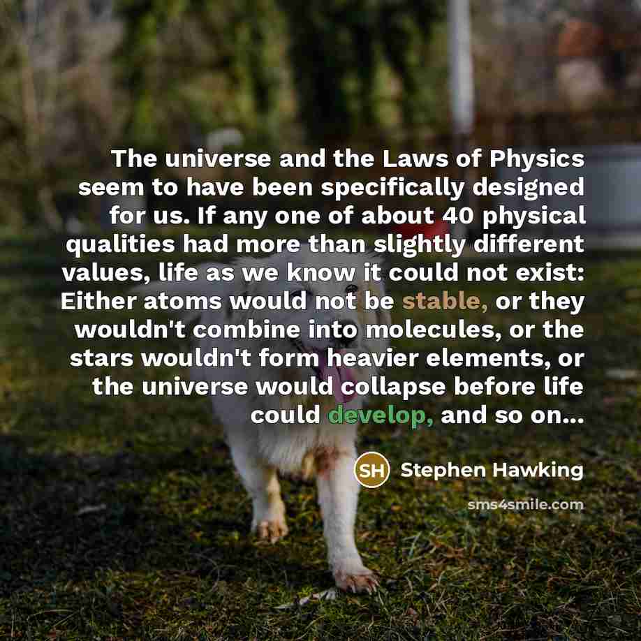 “The universe and the Laws of Physics seem to have…” quote by Stephen Hawking