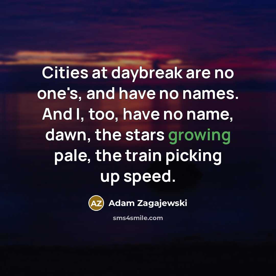 “Cities at daybreak are no one's, and have no names.…” quote by Adam Zagajewski