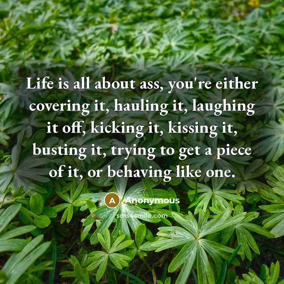 “Life is all about ass, you're either covering it, hauling…” quote by Anonymous