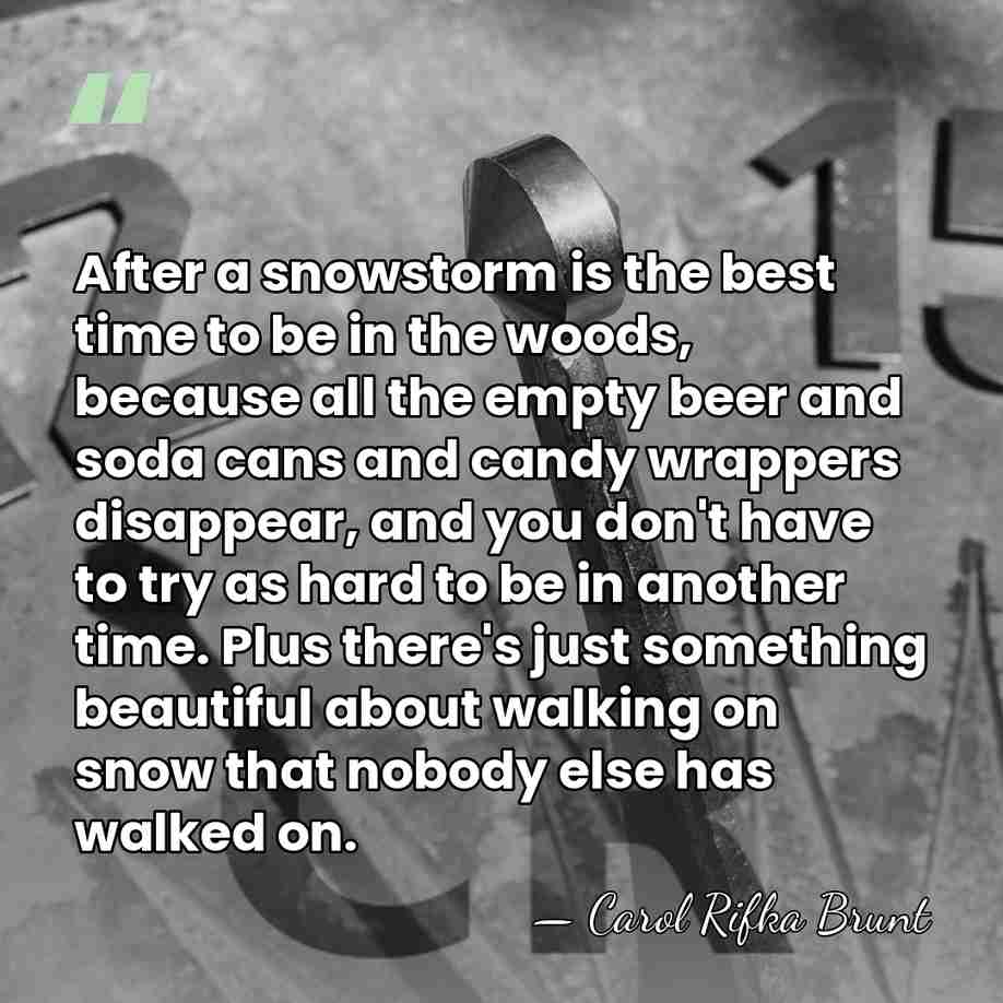 After a snowstorm is the best time to be in the woods,&hellip; - Carol Rifka Brunt