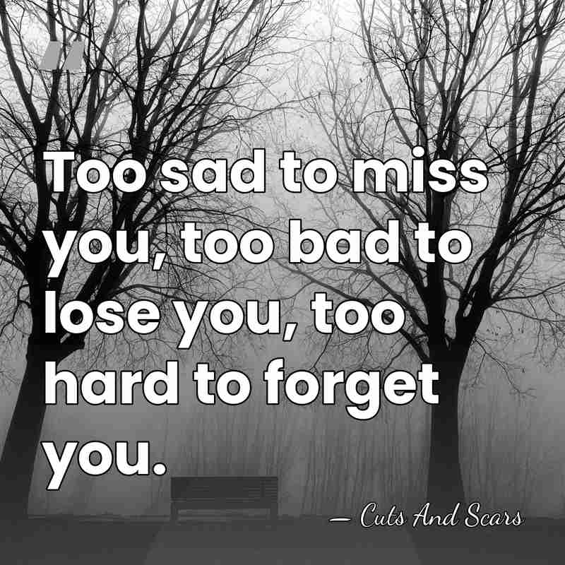 Too sad to miss you, too bad to lose you, too hard&hellip; - Cuts And Scars