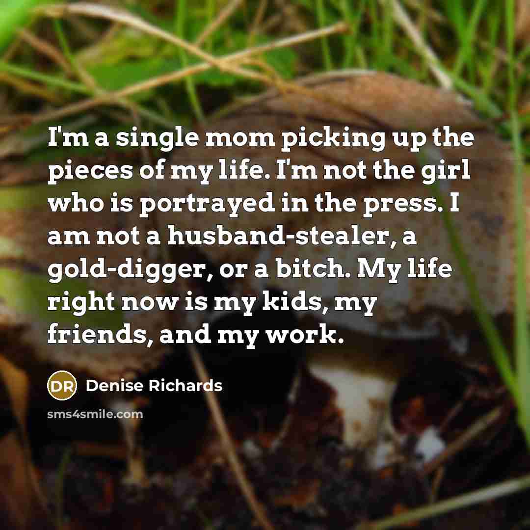 “I'm a single mom picking up the pieces of my…” quote by Denise Richards