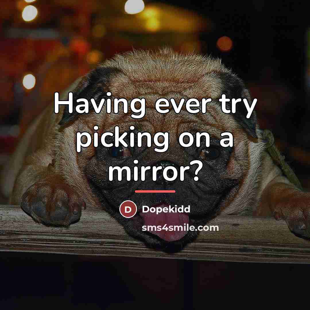 “Having ever try picking on a mirror?…” quote by Dopekidd