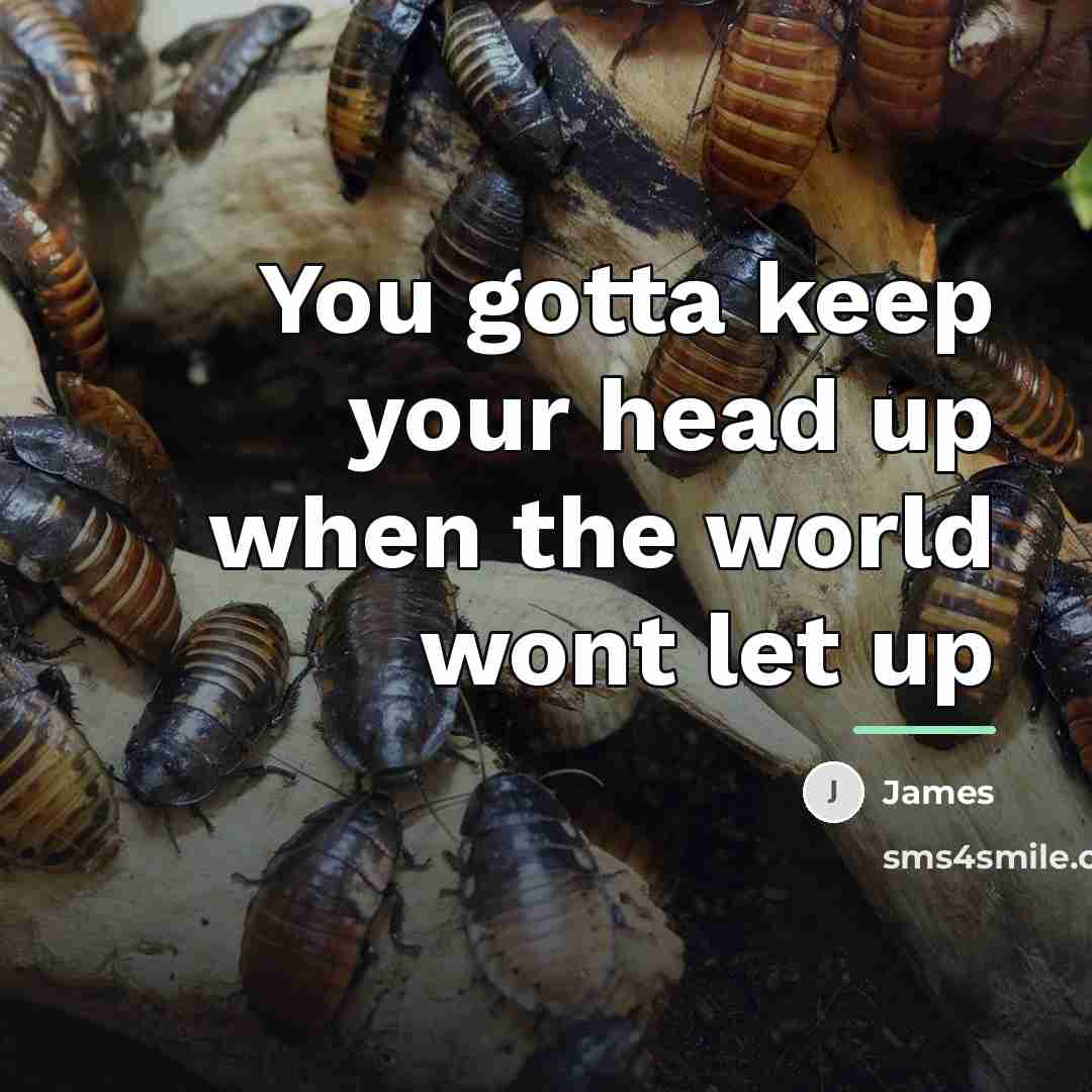 “You gotta keep your head up when the world wont…” quote by James