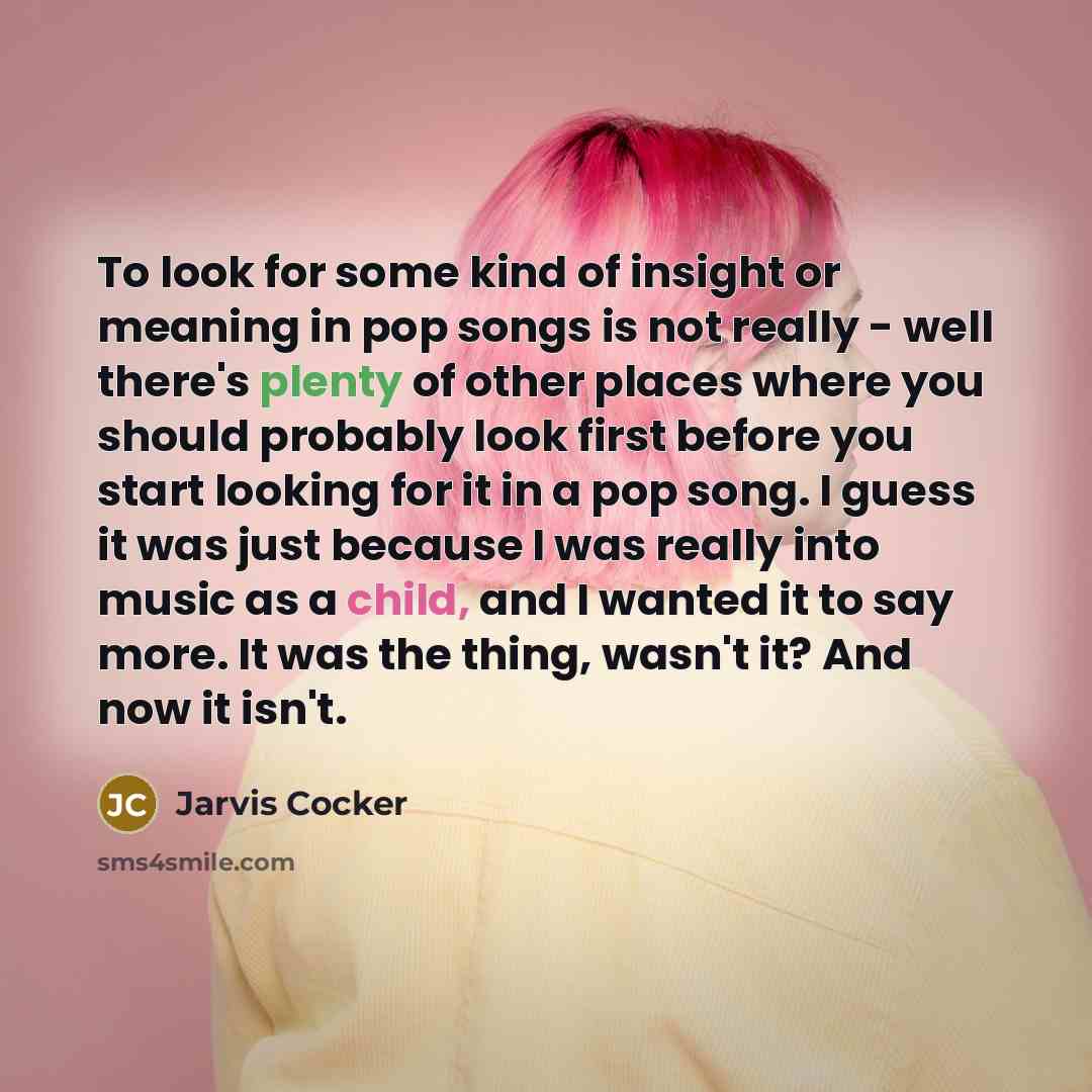 “To look for some kind of insight or meaning in…” quote by Jarvis Cocker