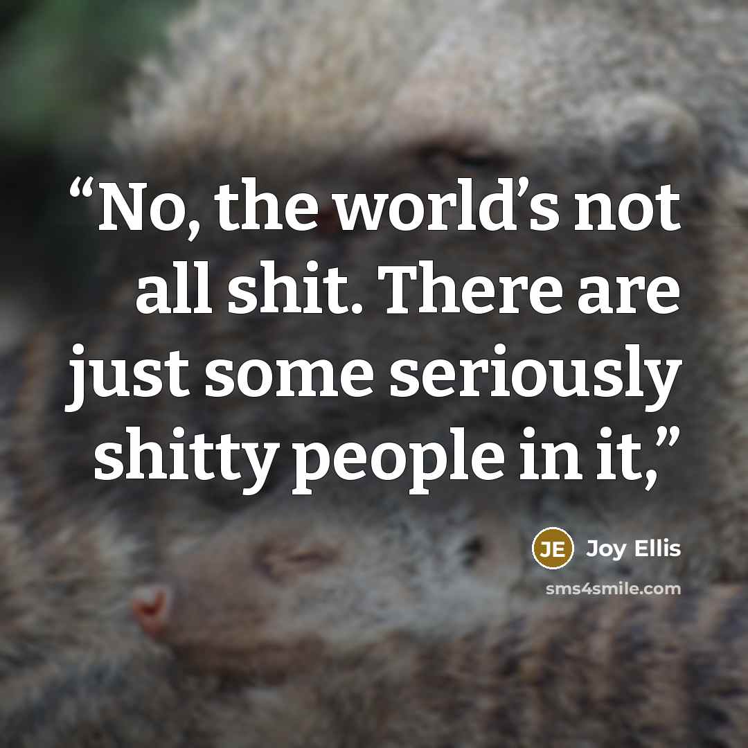 “No, the world’s not all shit. There are just some seriously shitty people in it,” quote by Joy Ellis
