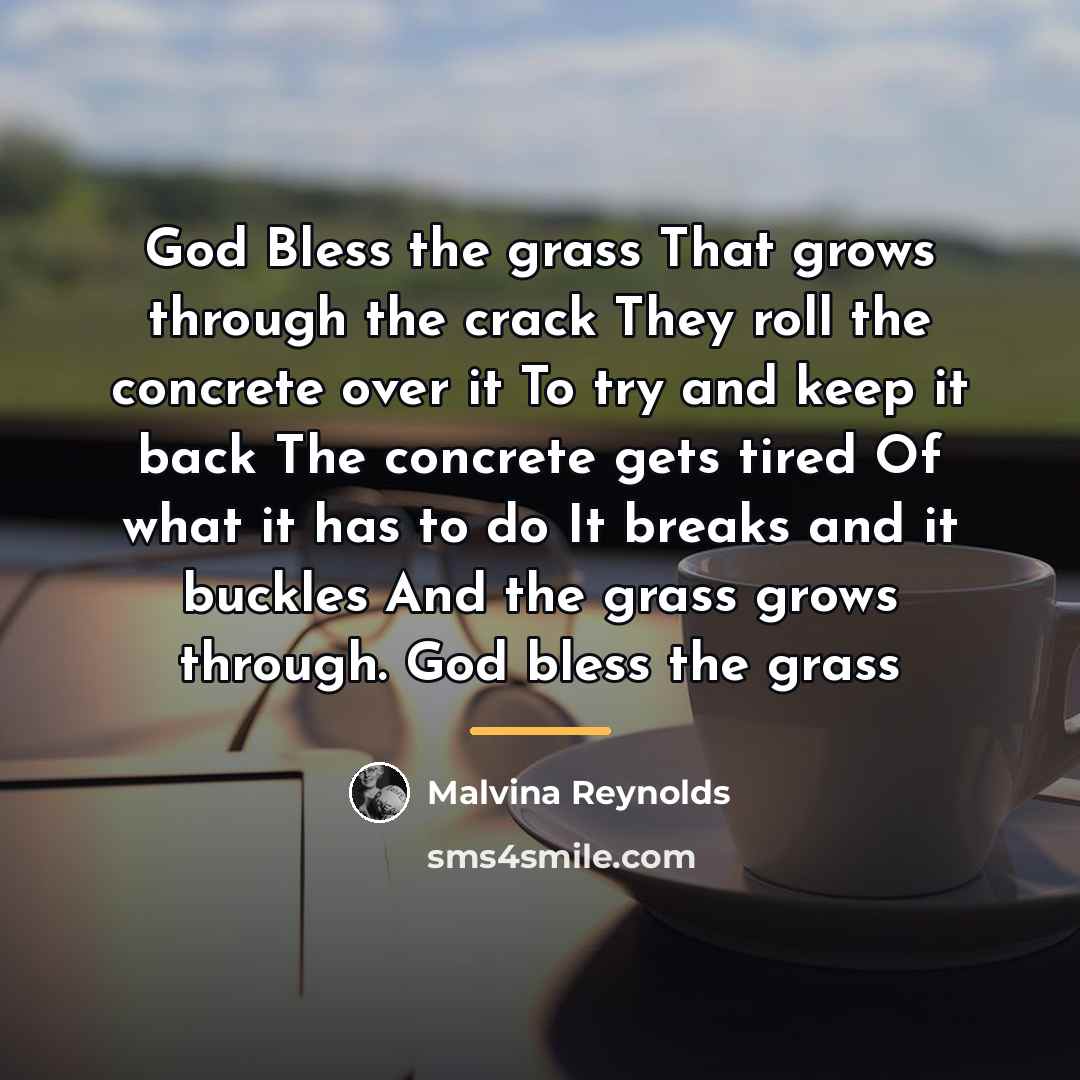 “God Bless the grass That grows through the crack They…” quote by Malvina Reynolds