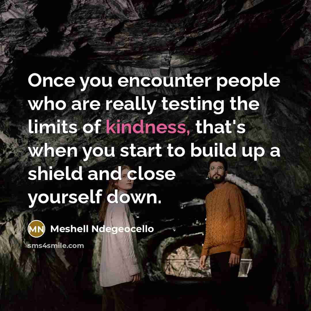 “Once you encounter people who are really testing the limits…” quote by Meshell Ndegeocello